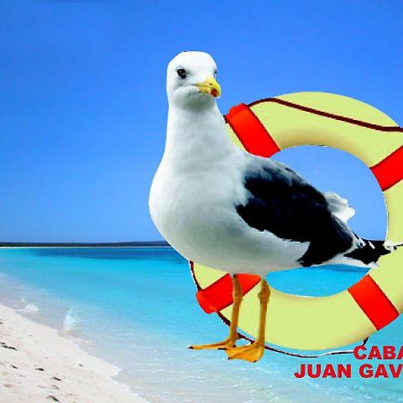 Cabanas Juan Gaviota Punta de Choros Dış mekan fotoğraf