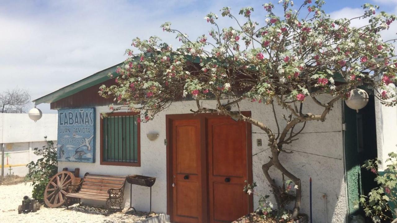 Cabanas Juan Gaviota Punta de Choros Dış mekan fotoğraf