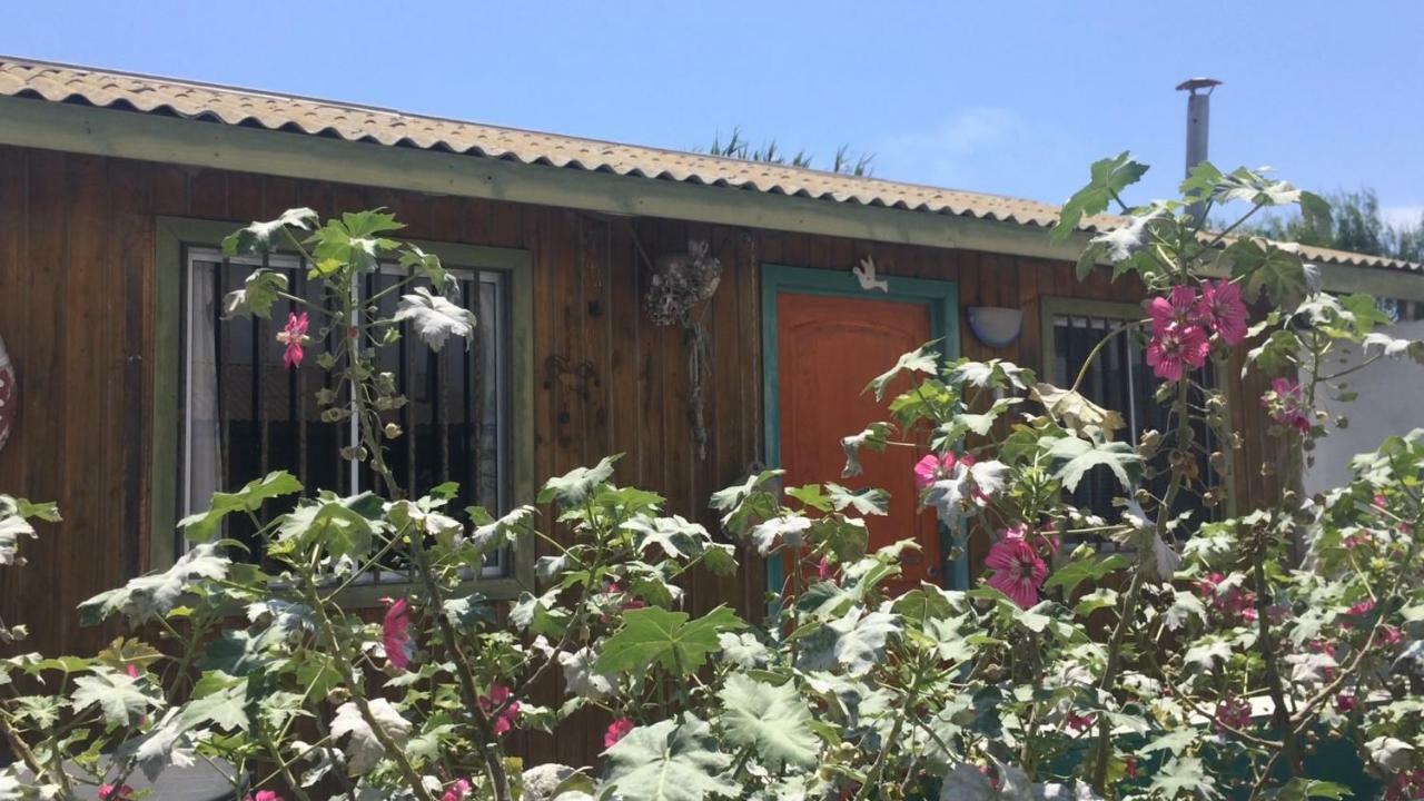 Cabanas Juan Gaviota Punta de Choros Dış mekan fotoğraf