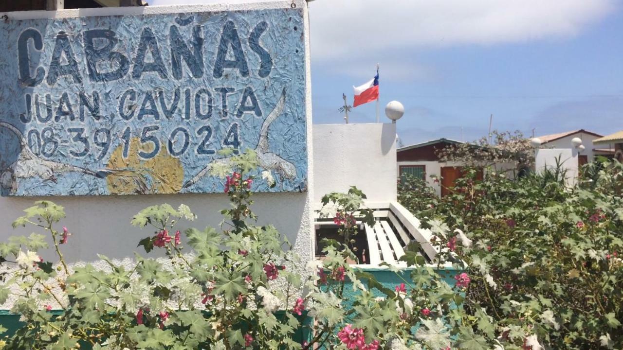 Cabanas Juan Gaviota Punta de Choros Dış mekan fotoğraf