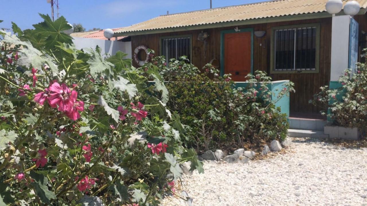 Cabanas Juan Gaviota Punta de Choros Dış mekan fotoğraf