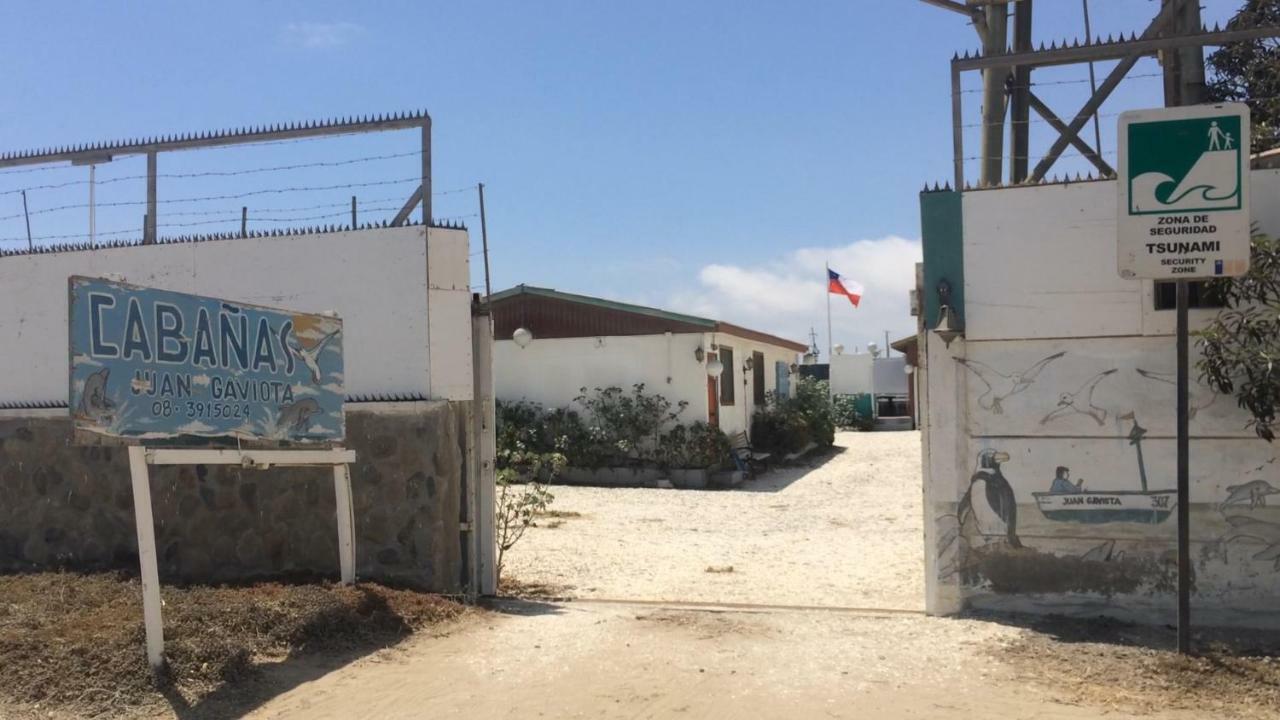 Cabanas Juan Gaviota Punta de Choros Dış mekan fotoğraf