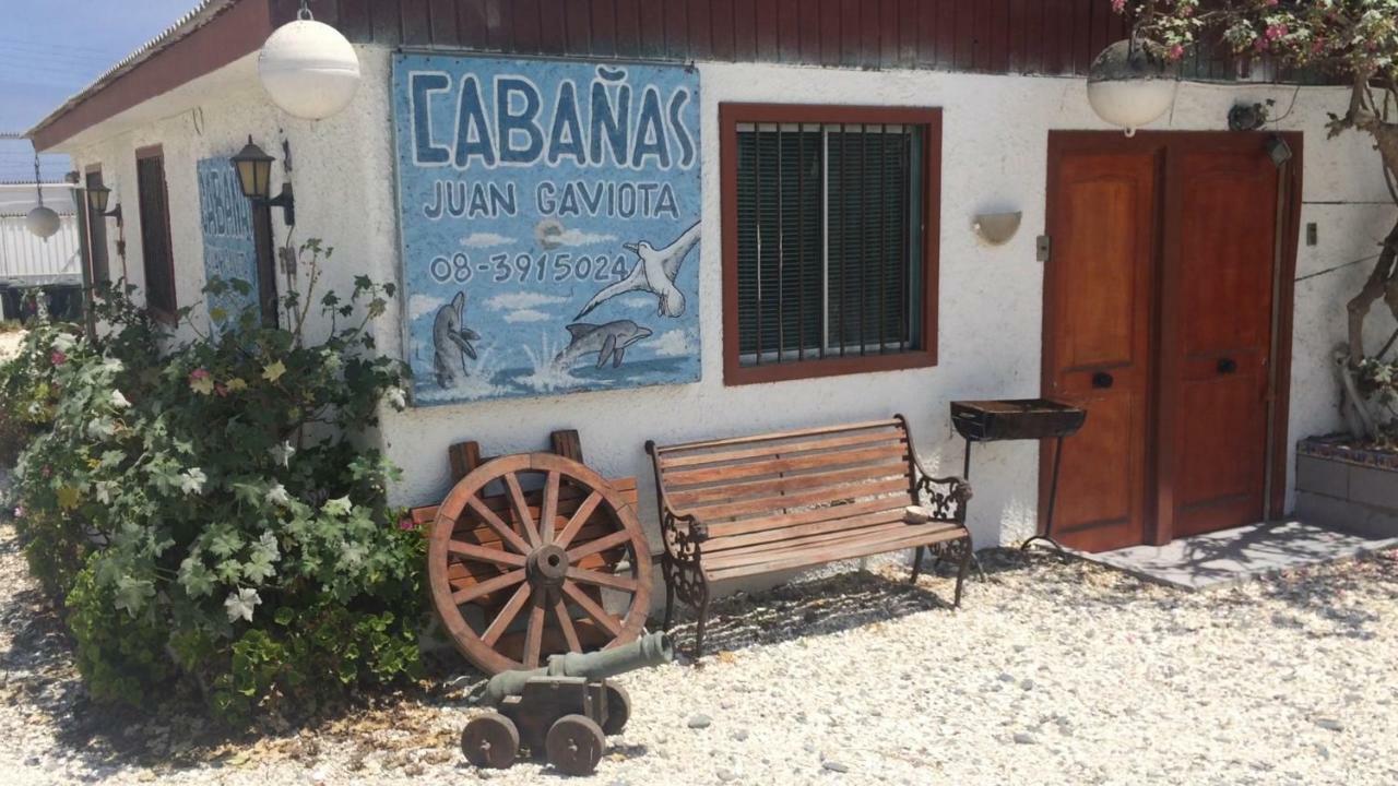 Cabanas Juan Gaviota Punta de Choros Dış mekan fotoğraf