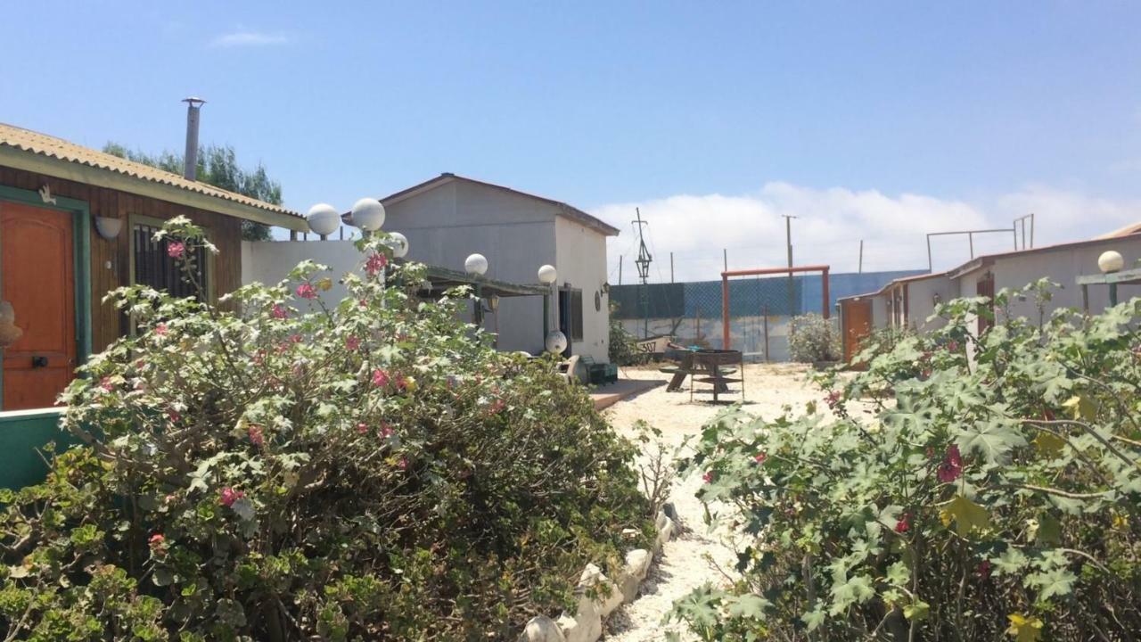 Cabanas Juan Gaviota Punta de Choros Dış mekan fotoğraf