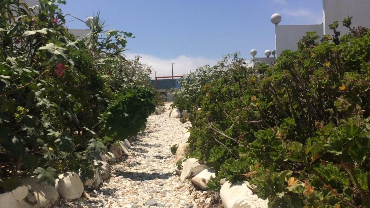 Cabanas Juan Gaviota Punta de Choros Dış mekan fotoğraf