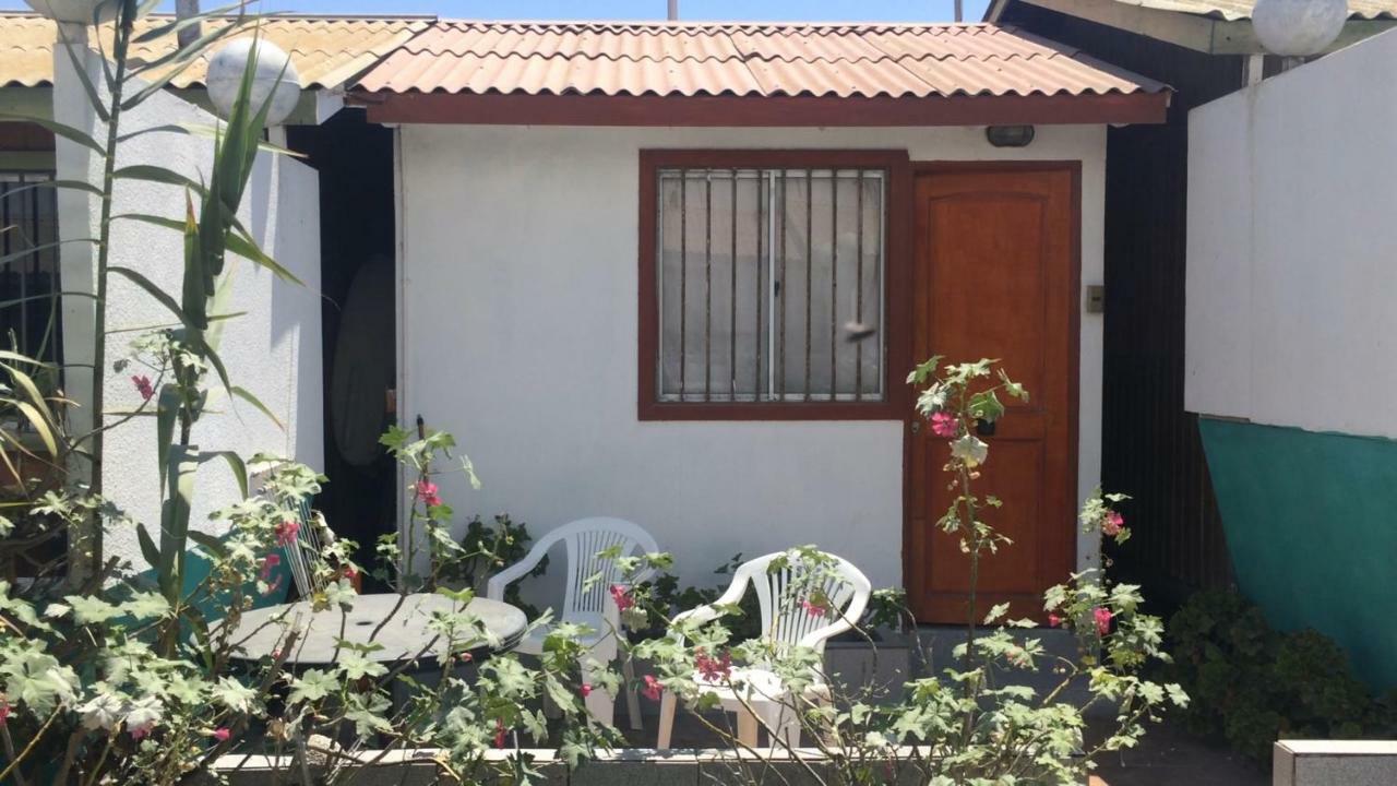 Cabanas Juan Gaviota Punta de Choros Dış mekan fotoğraf