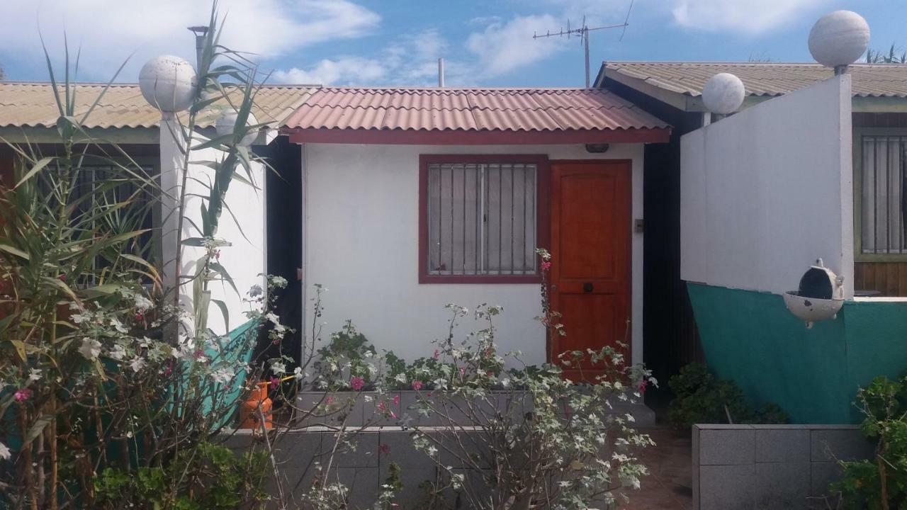 Cabanas Juan Gaviota Punta de Choros Dış mekan fotoğraf