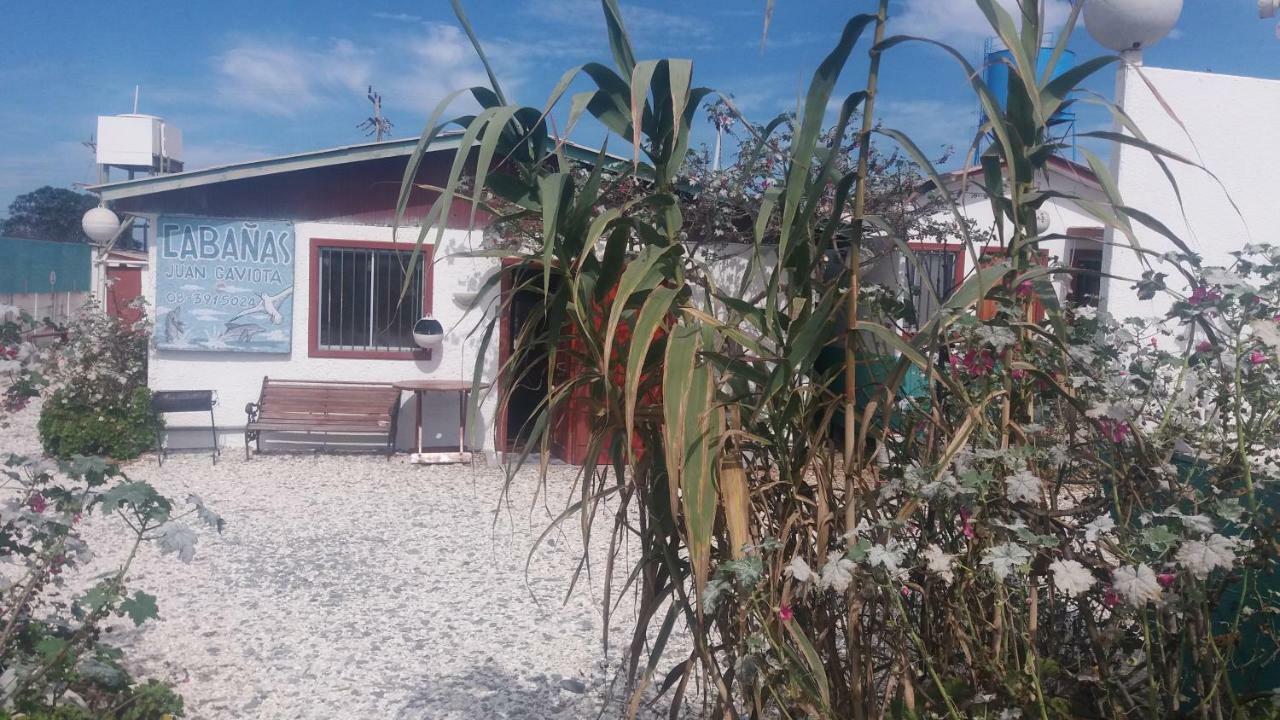 Cabanas Juan Gaviota Punta de Choros Dış mekan fotoğraf