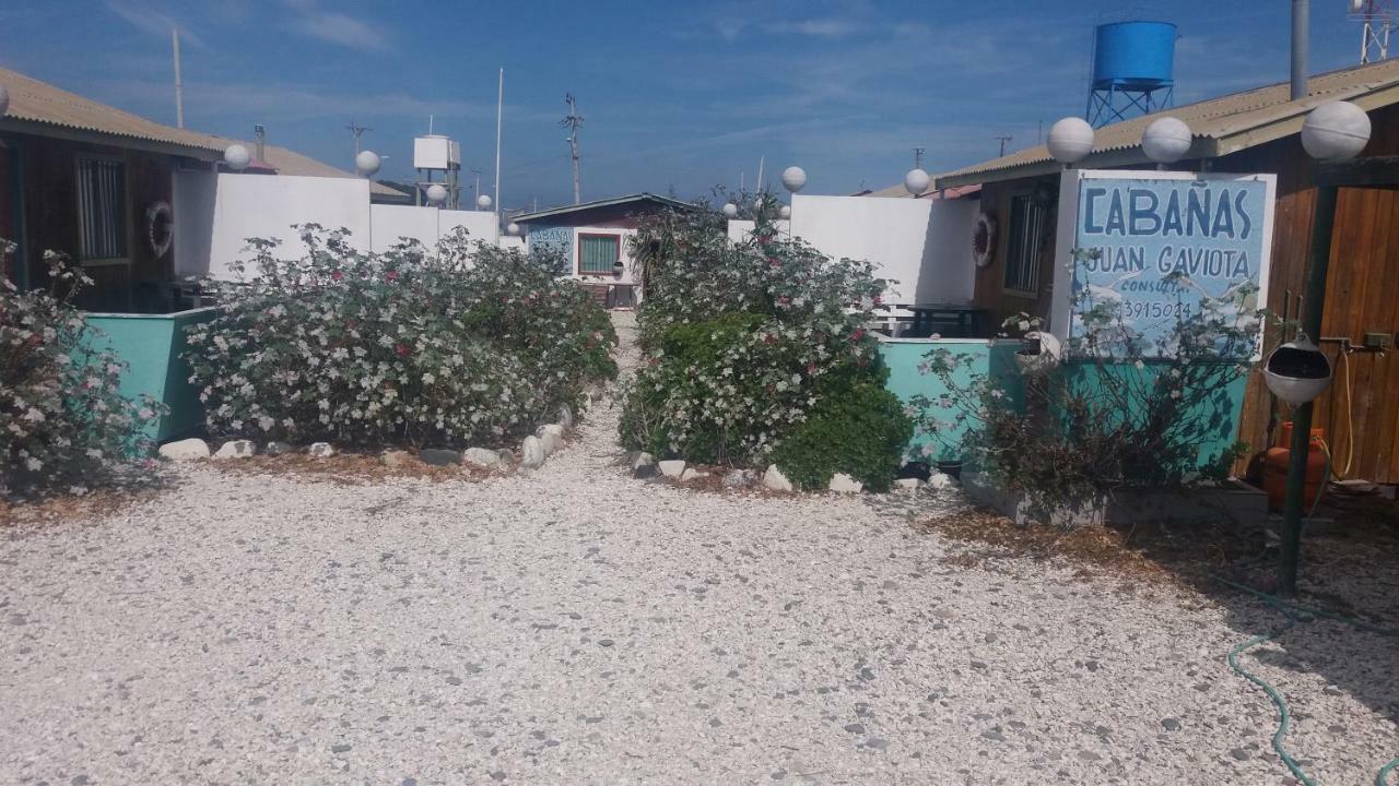 Cabanas Juan Gaviota Punta de Choros Dış mekan fotoğraf
