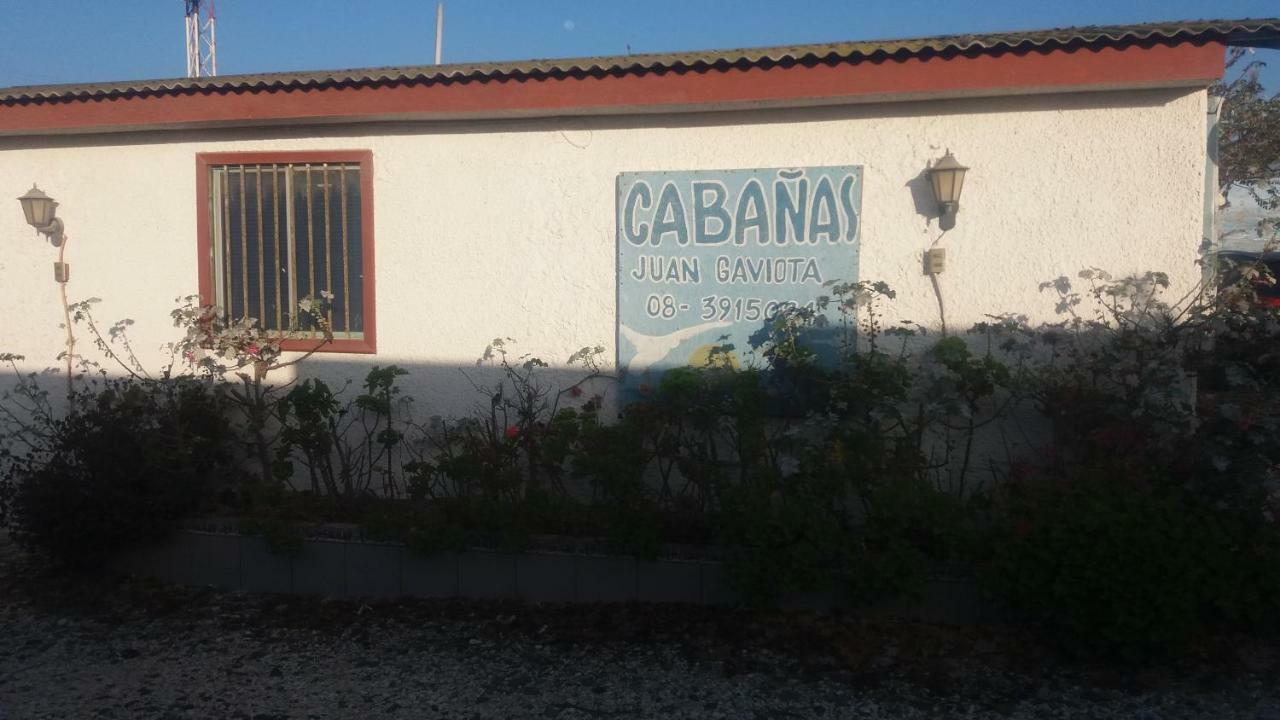 Cabanas Juan Gaviota Punta de Choros Dış mekan fotoğraf