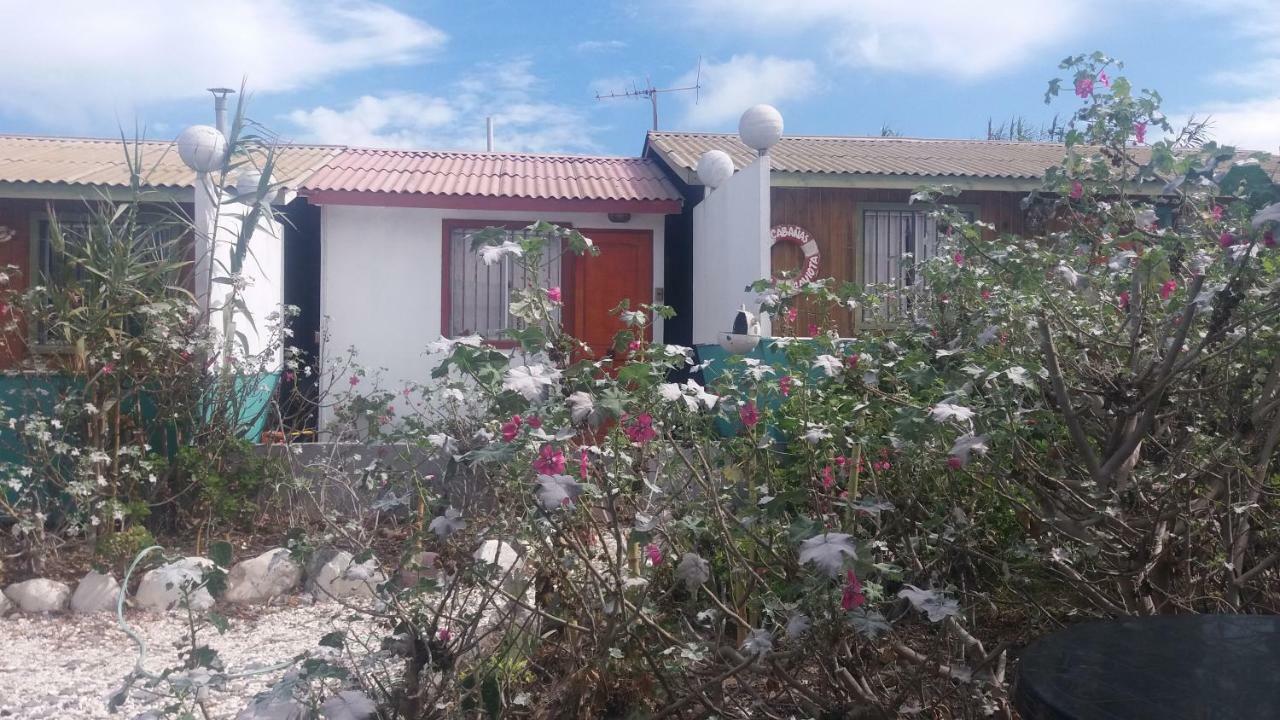 Cabanas Juan Gaviota Punta de Choros Dış mekan fotoğraf